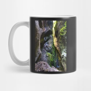 The wonderful Sighistel gorge Mug